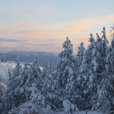 Whitebird Summit Lodge Grangeville Esterno foto