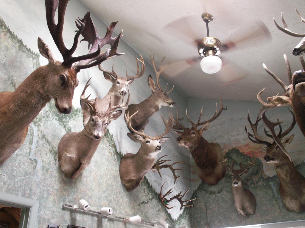 Whitebird Summit Lodge Grangeville Esterno foto