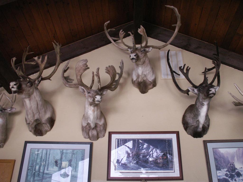 Whitebird Summit Lodge Grangeville Esterno foto
