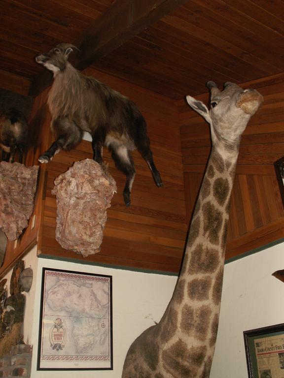 Whitebird Summit Lodge Grangeville Esterno foto