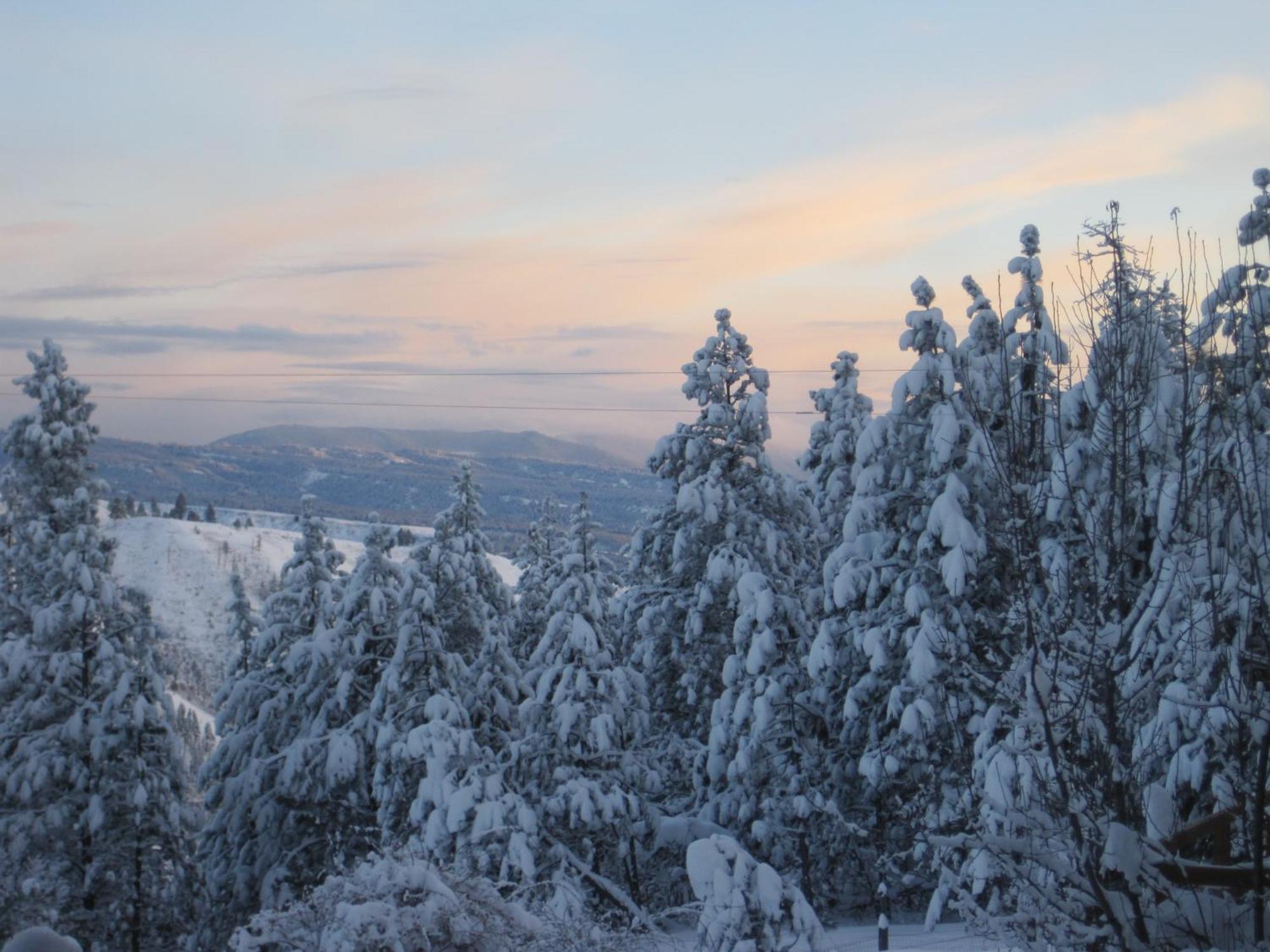 Whitebird Summit Lodge Grangeville Esterno foto