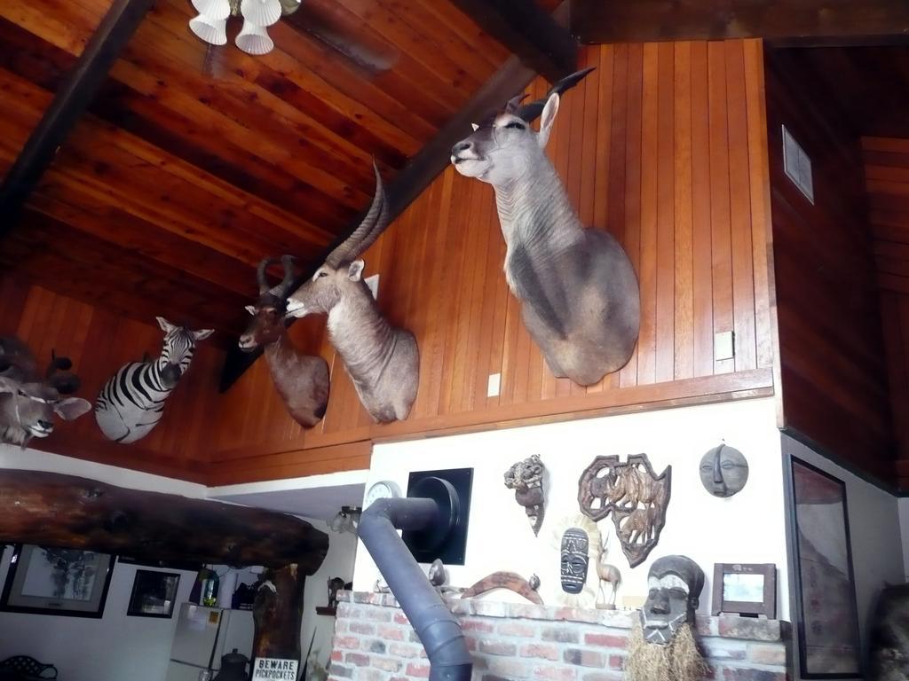 Whitebird Summit Lodge Grangeville Esterno foto