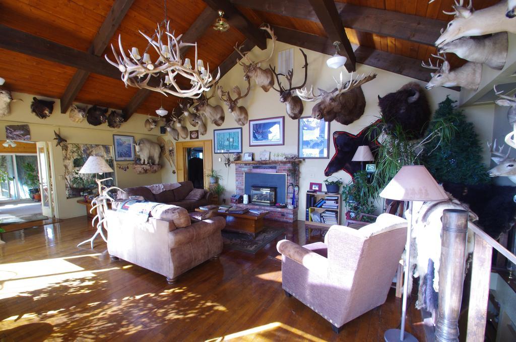 Whitebird Summit Lodge Grangeville Esterno foto