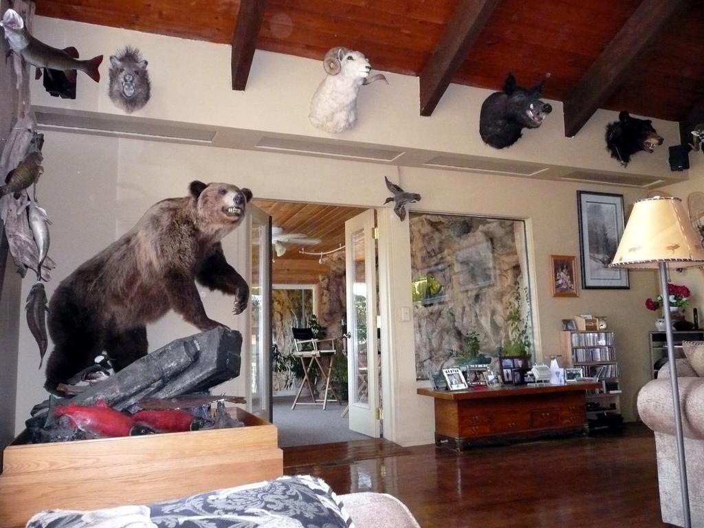 Whitebird Summit Lodge Grangeville Esterno foto