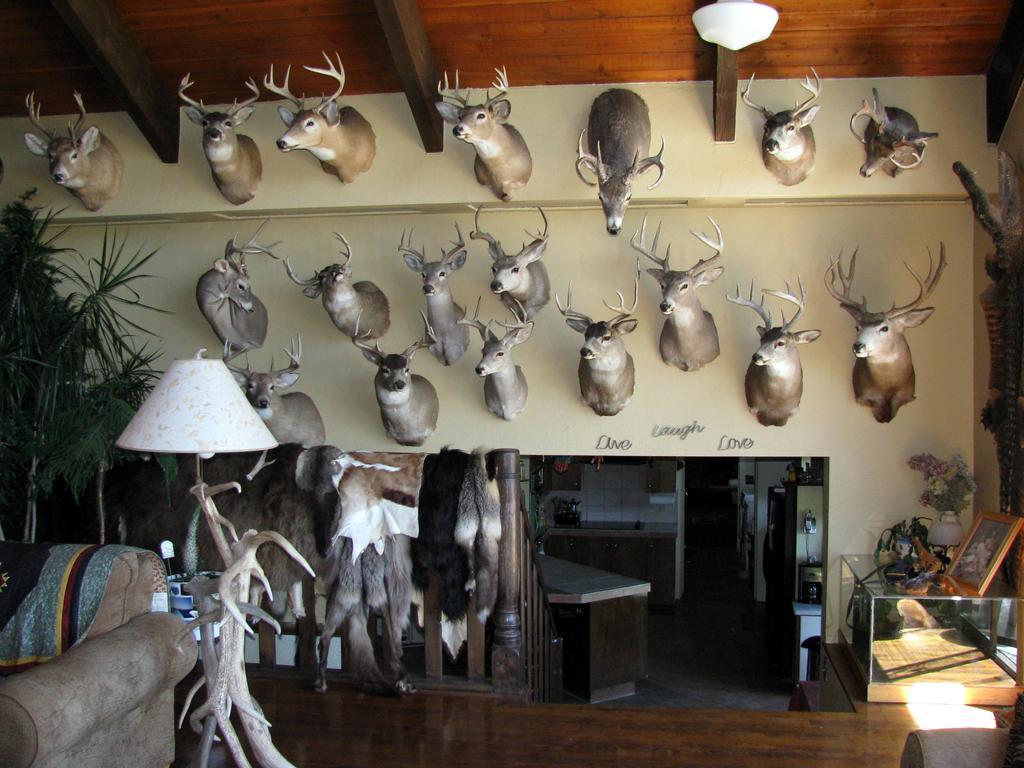 Whitebird Summit Lodge Grangeville Esterno foto