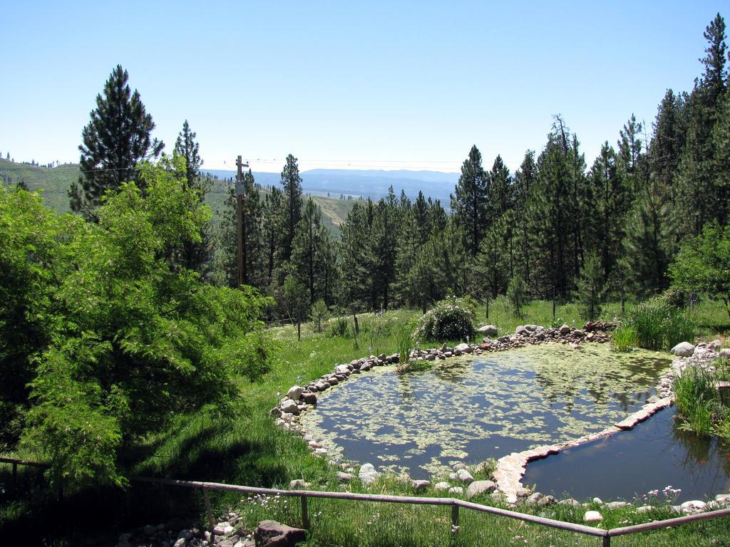Whitebird Summit Lodge Grangeville Esterno foto