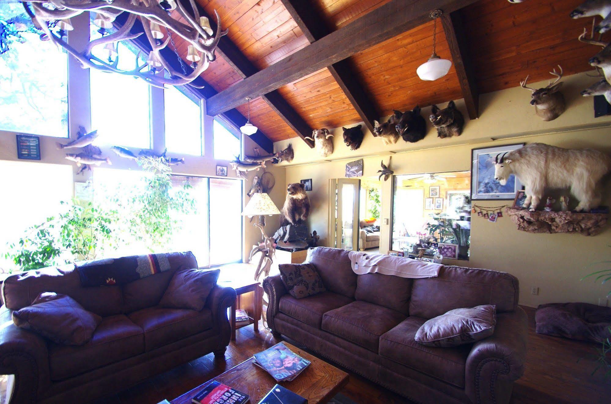 Whitebird Summit Lodge Grangeville Esterno foto