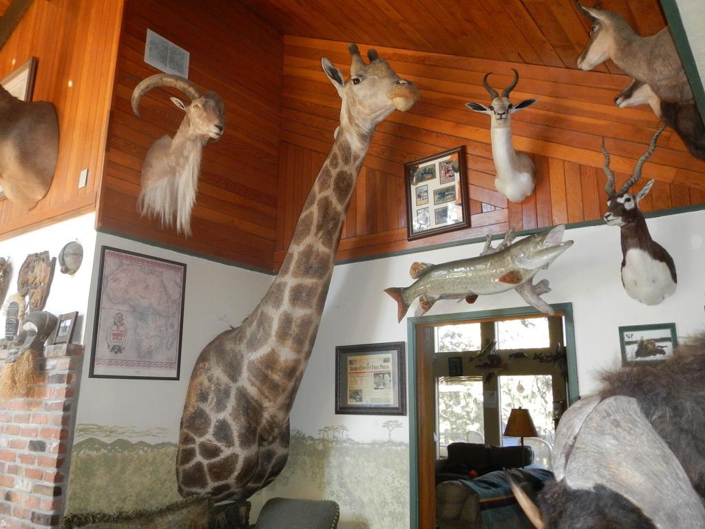 Whitebird Summit Lodge Grangeville Esterno foto