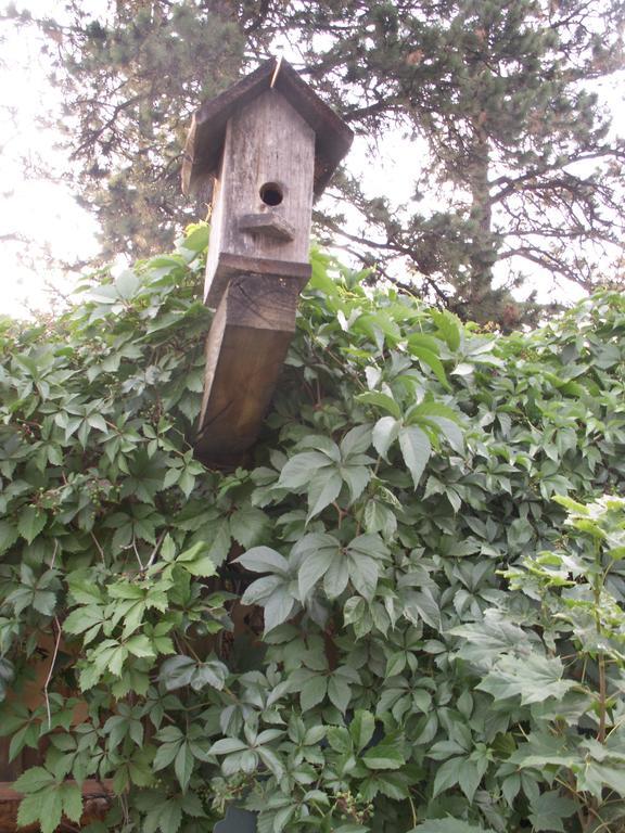 Whitebird Summit Lodge Grangeville Esterno foto